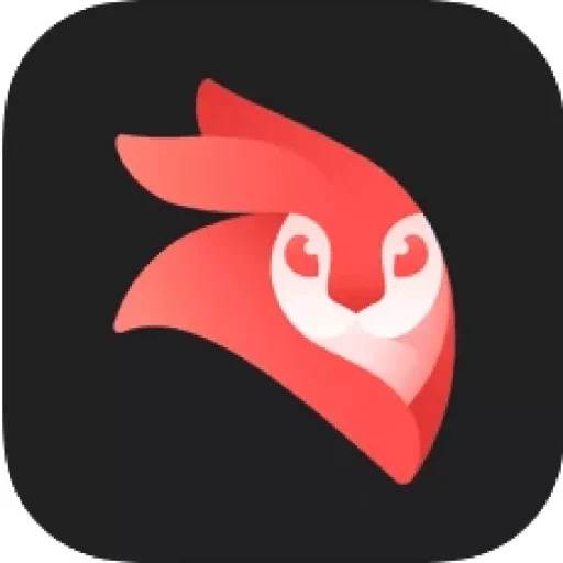 Videoleap
